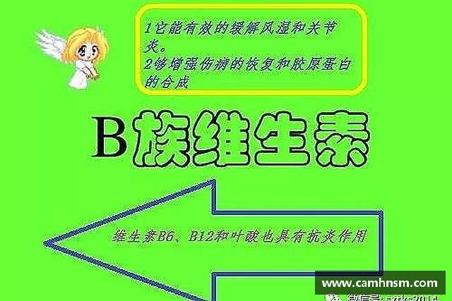 解读金沙8087